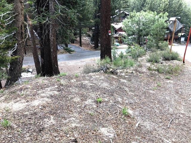 3 Berner Street Mammoth Lakes, CA 93546 - Photo 3 of 6 View of yard