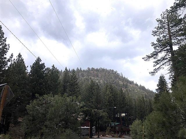 3 Berner Street Mammoth Lakes, CA 93546 - Photo 6 of 6 View of mountain background featuring a heavily wooded area
