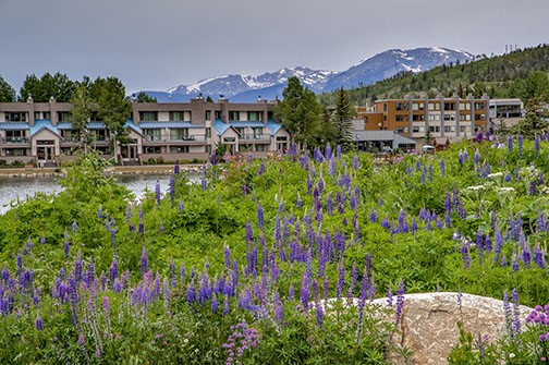 22340 Highway 6, Unit 1785 Keystone, CO 80435 - Photo 26 of 28 a view of a town with lawn chairs and flower plants