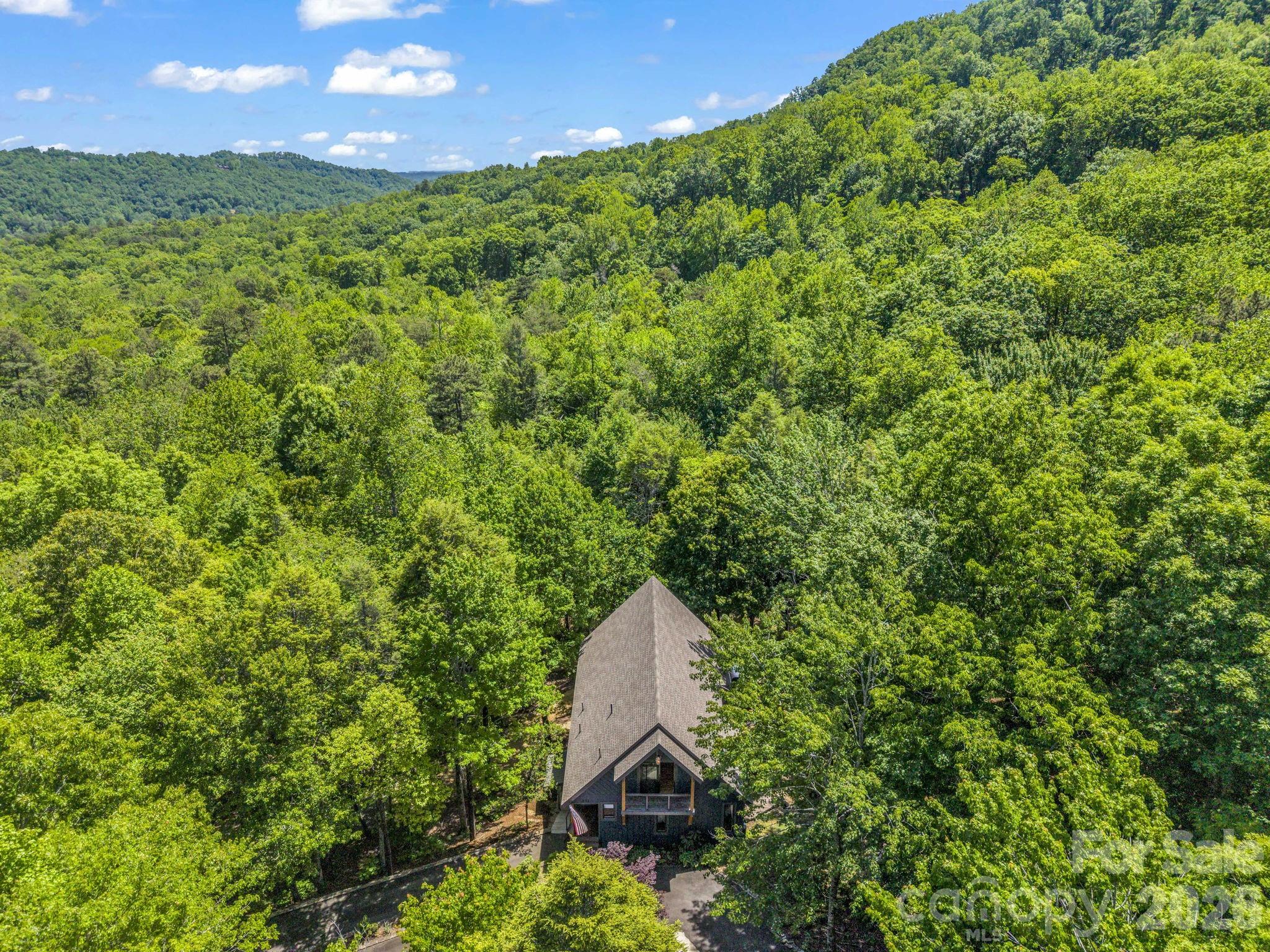 331 Quail Ridge Road Lake Lure, NC 28746 - Photo 39 of 40 Gallery Image 39