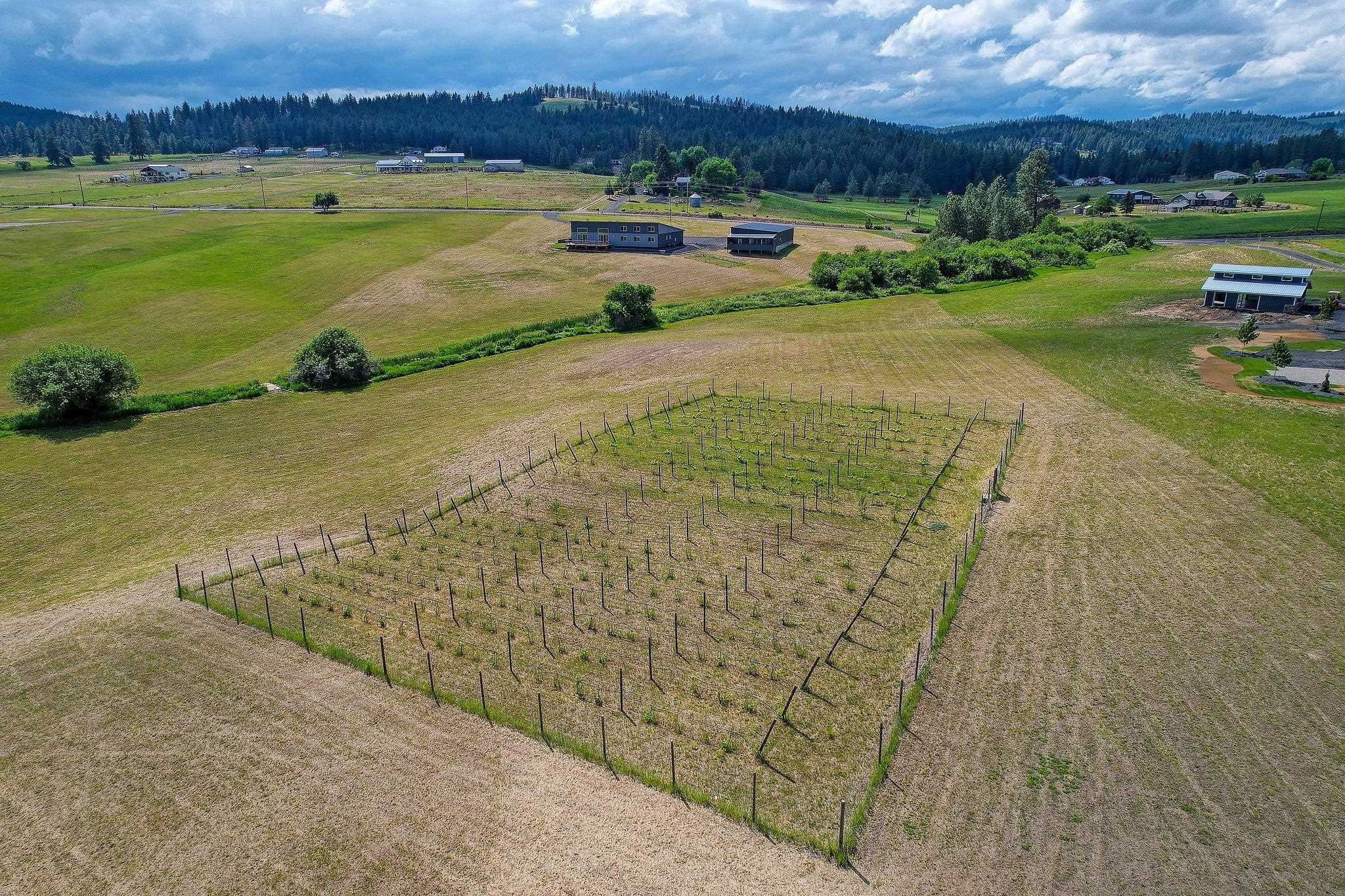 17920 North Austin Road Spokane, WA 99208 - Photo 35 of 44