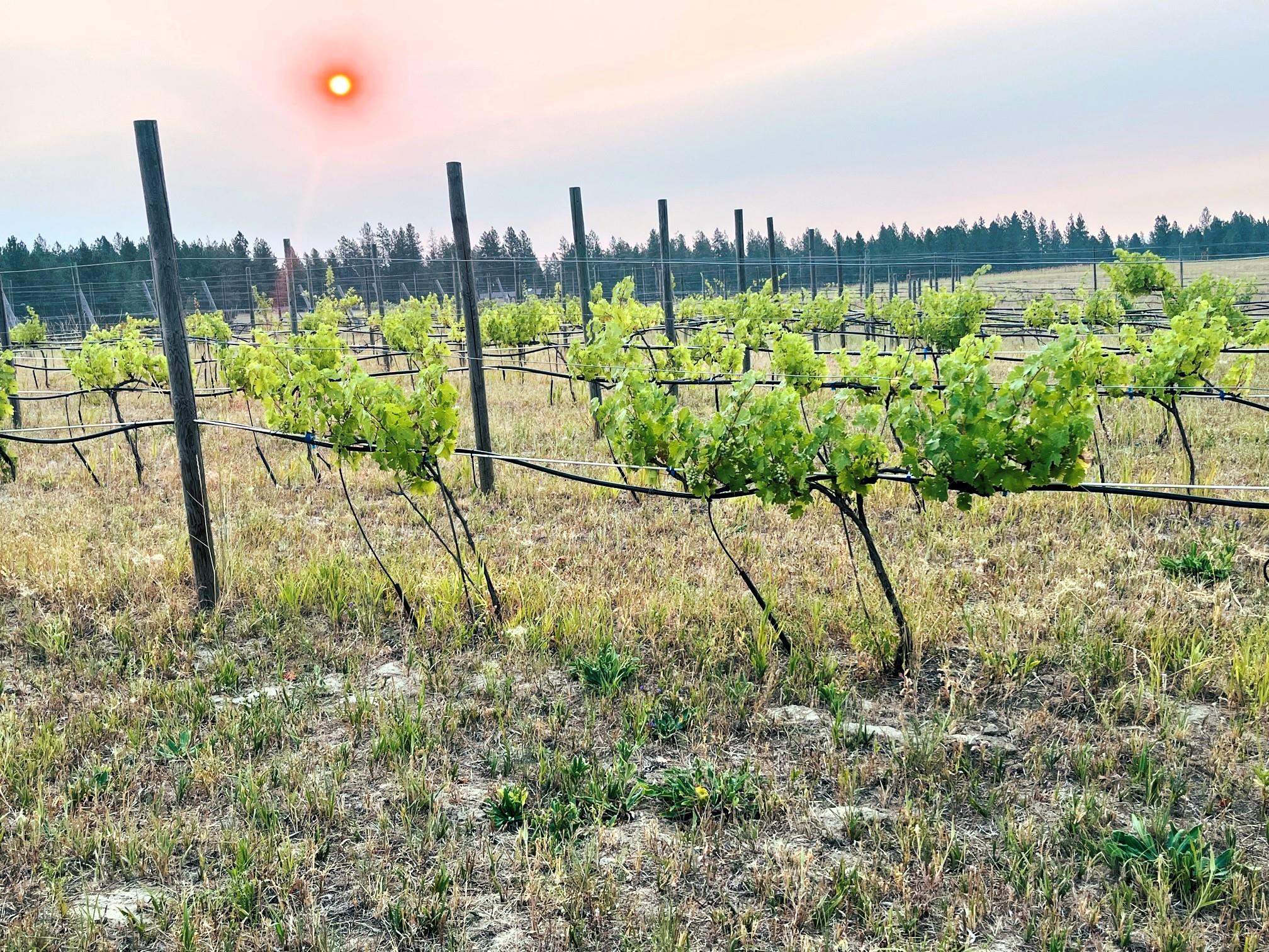 17920 North Austin Road Spokane, WA 99208 - Photo 44 of 44