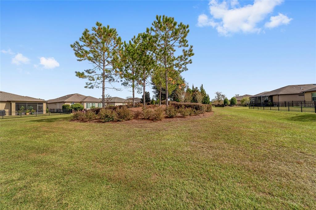 6479 Southwest 94th Circle Ocala, FL 34481 - Photo 64 of 82 a backyard of a house with lots of green space