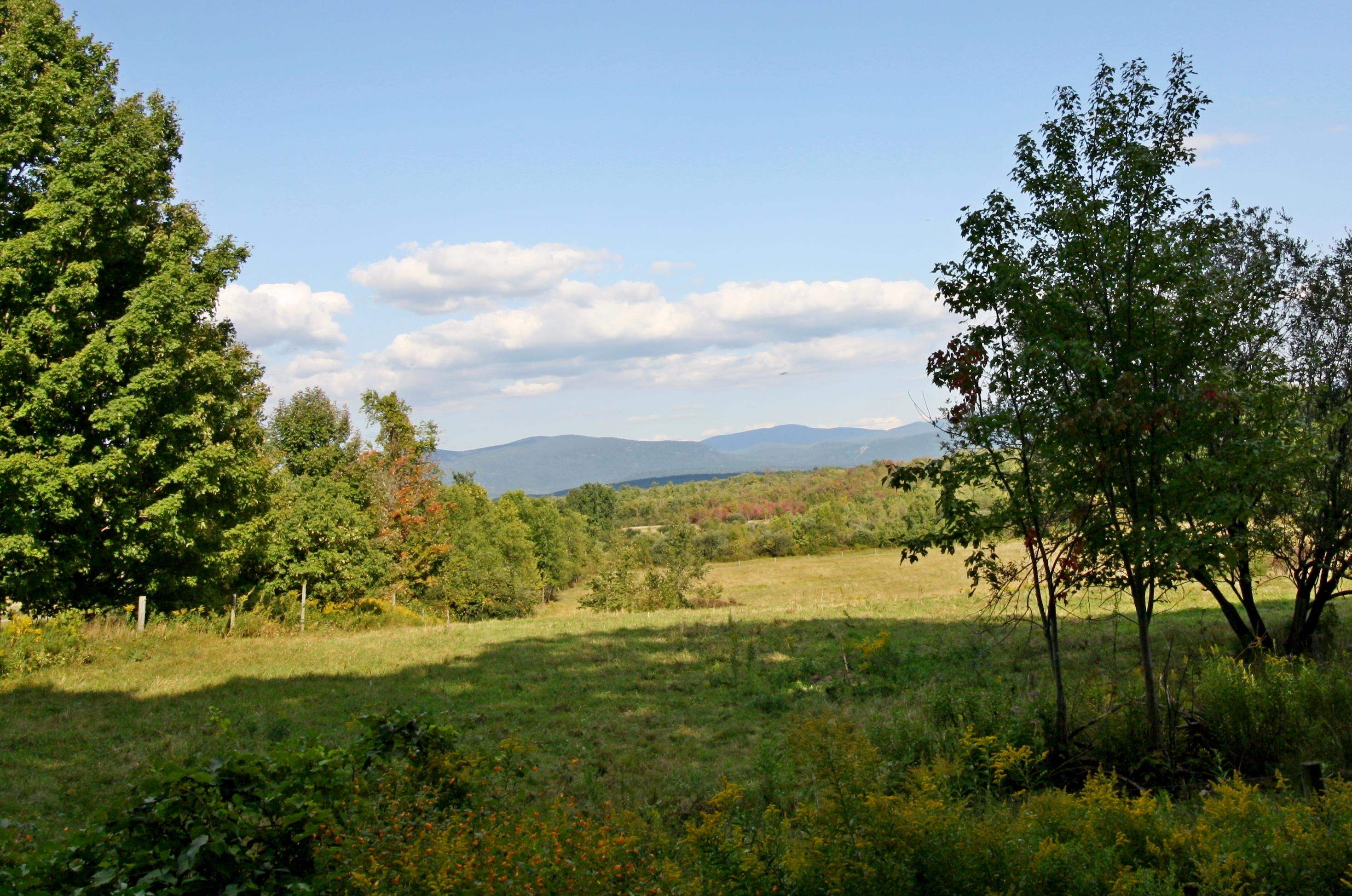 Tbd Galvin Road, Unit LOT 3 Whiting, VT 05778 - Photo 1 of 14
