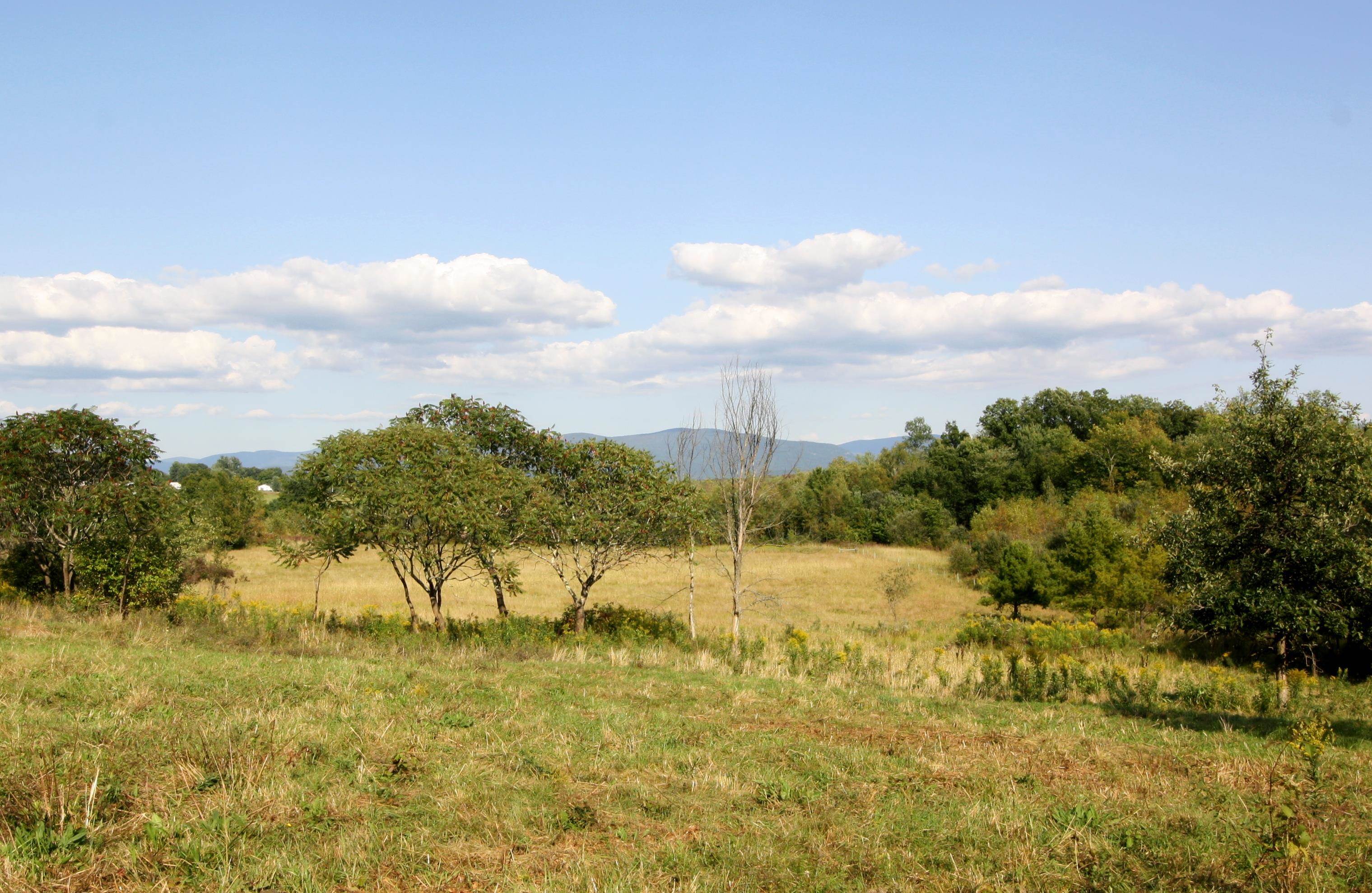 Tbd Galvin Road, Unit LOT 3 Whiting, VT 05778 - Photo 2 of 14