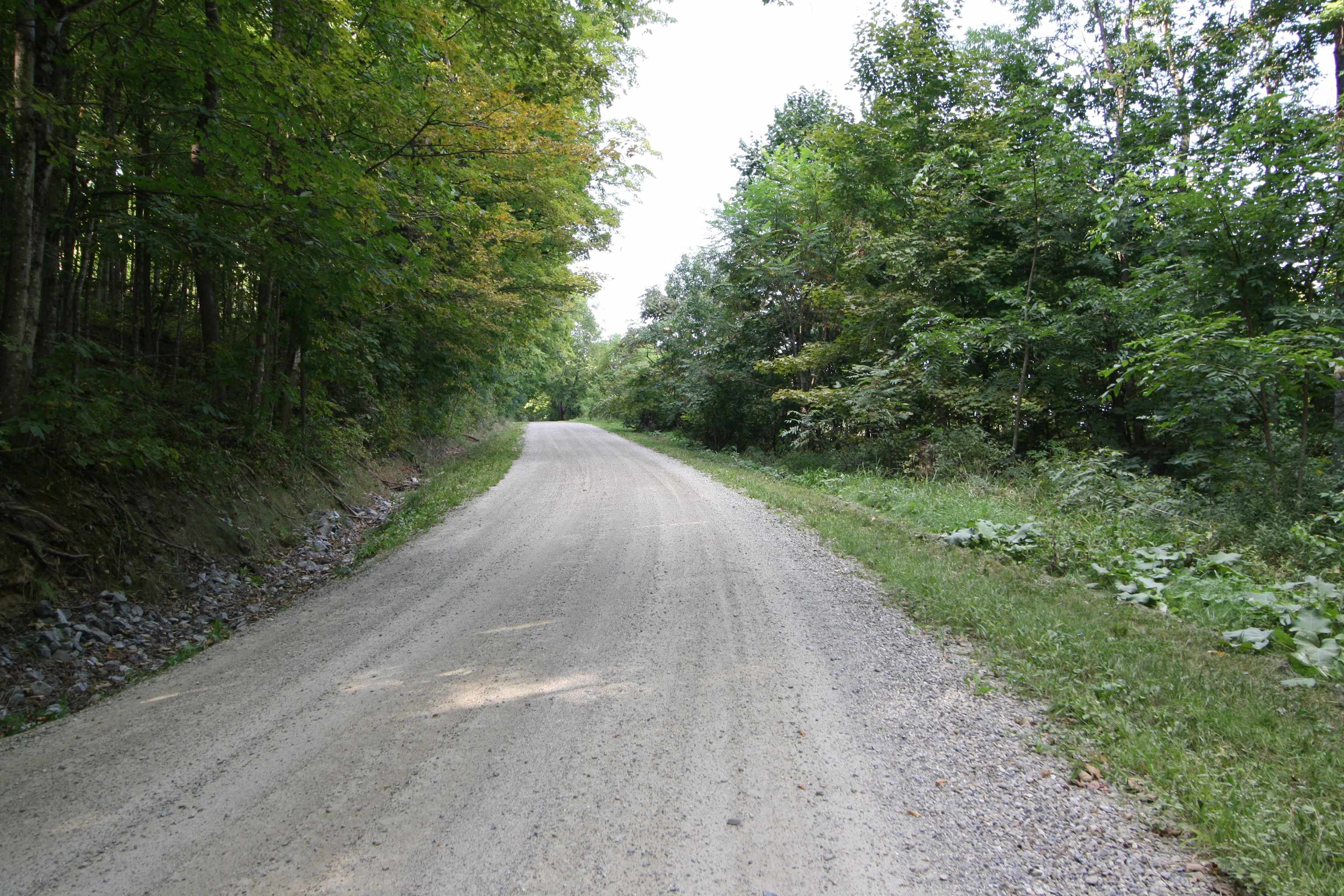 Tbd Galvin Road, Unit LOT 3 Whiting, VT 05778 - Photo 5 of 14