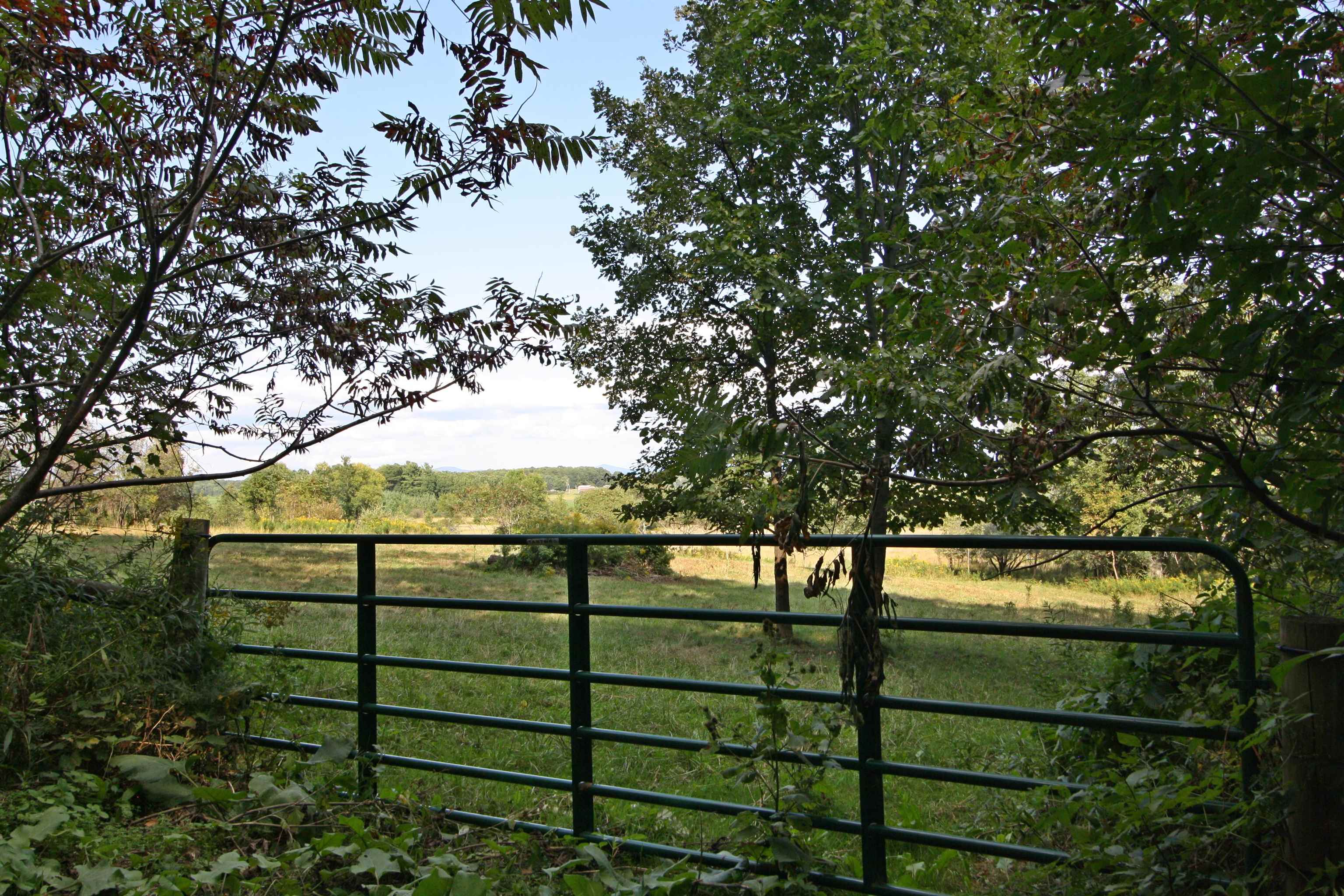 Tbd Galvin Road, Unit LOT 3 Whiting, VT 05778 - Photo 6 of 14