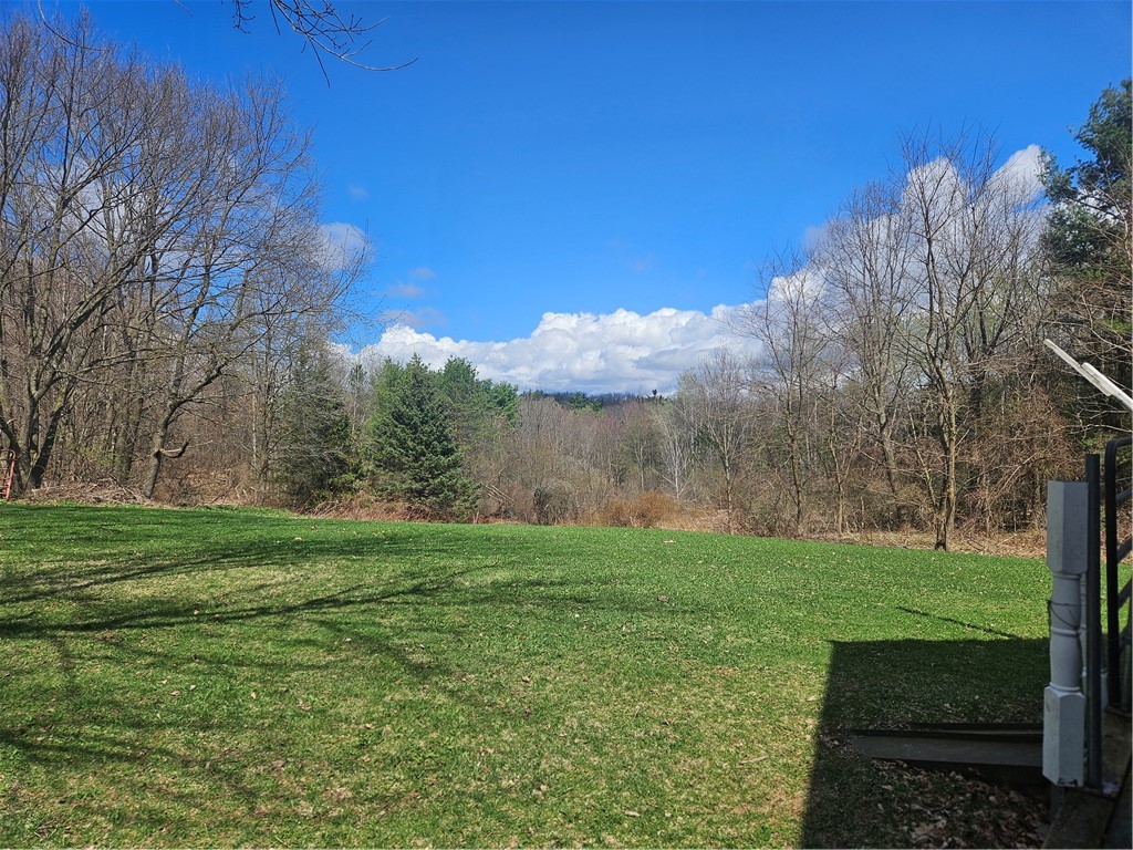 468 Travis Road Stark, NY 13339 - Photo 24 of 43