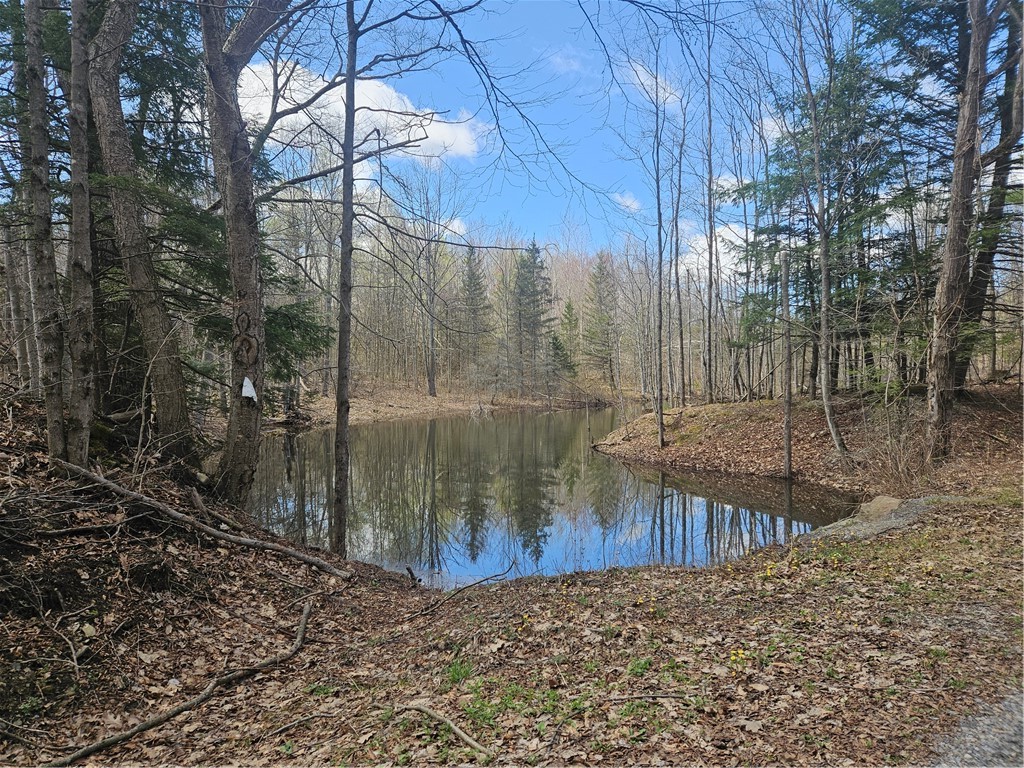 468 Travis Road Stark, NY 13339 - Photo 38 of 43