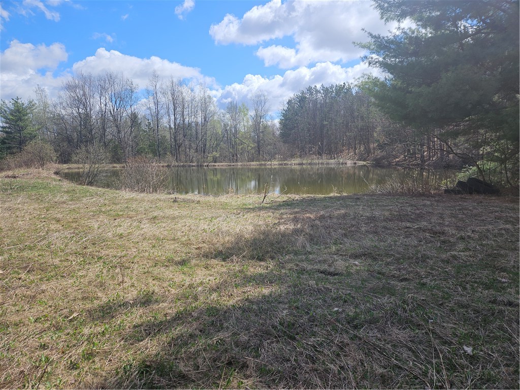 468 Travis Road Stark, NY 13339 - Photo 39 of 43