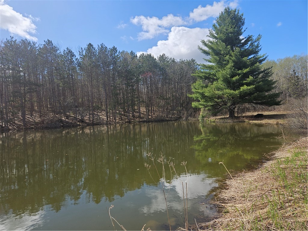 468 Travis Road Stark, NY 13339 - Photo 40 of 43