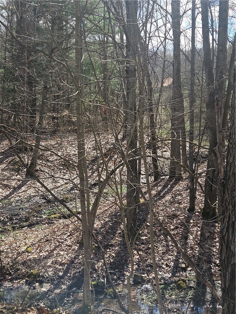 468 Travis Road Stark, NY 13339 - Photo 41 of 43