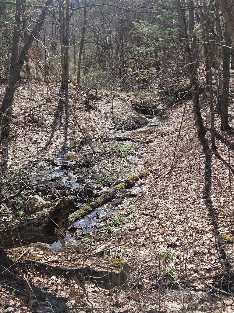 468 Travis Road Stark, NY 13339 - Photo 42 of 43