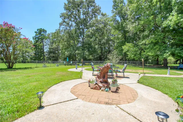 a view of a park with large trees