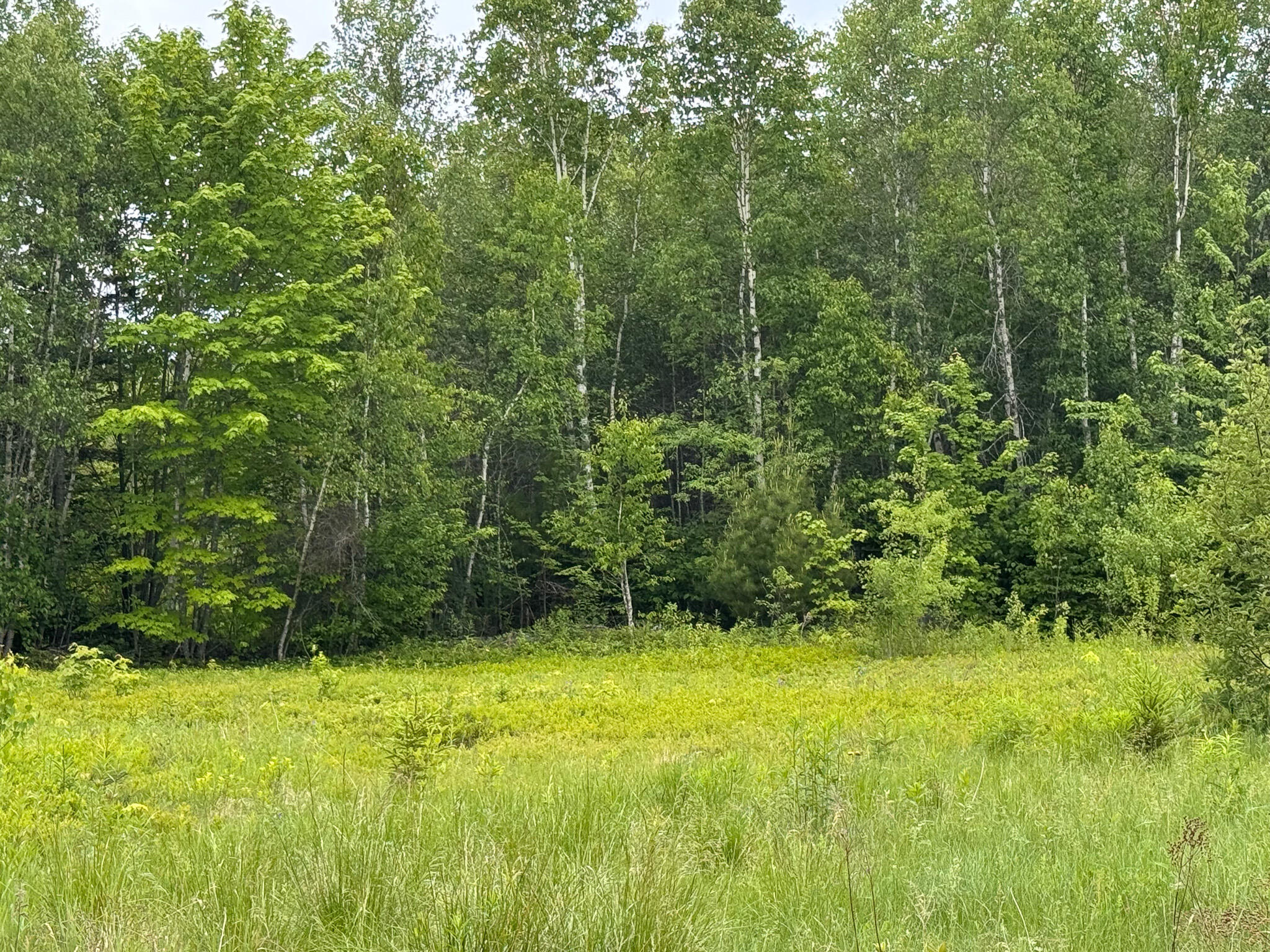 251 Jr Williams Road Wesley, ME 04686 - Photo 13 of 13 13