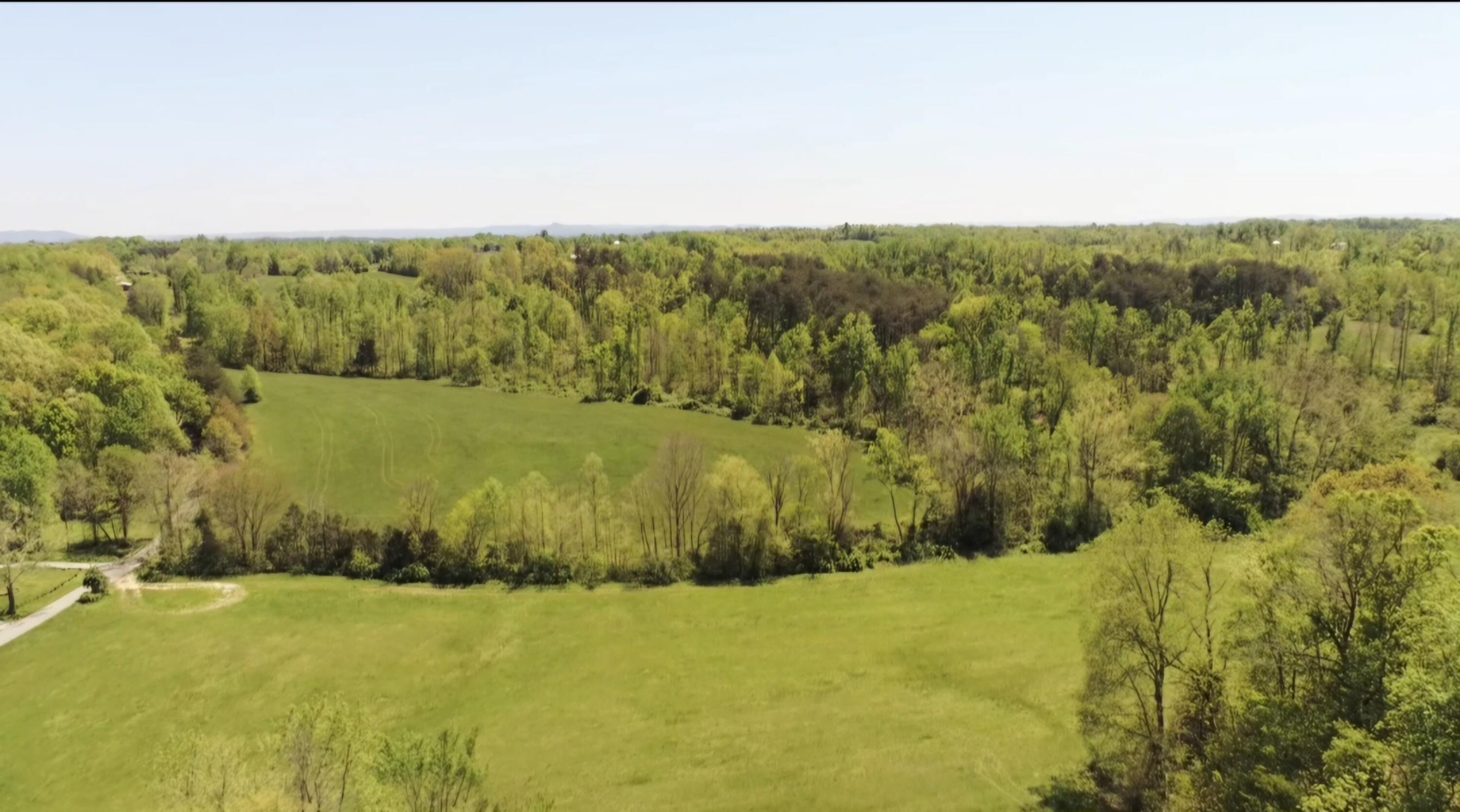 391 George Sell Road Albany, KY 42602 - Photo 2 of 18 20240425_12465