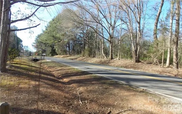 a view of a yard with large trees