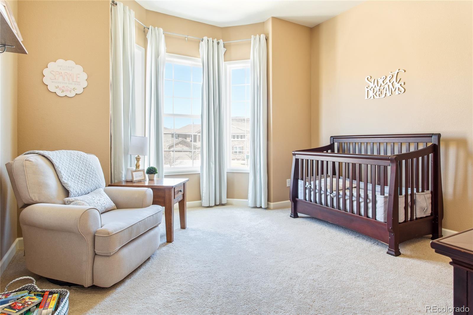 1453 Jesse Lane Golden, CO 80403 - Photo 23 of 40