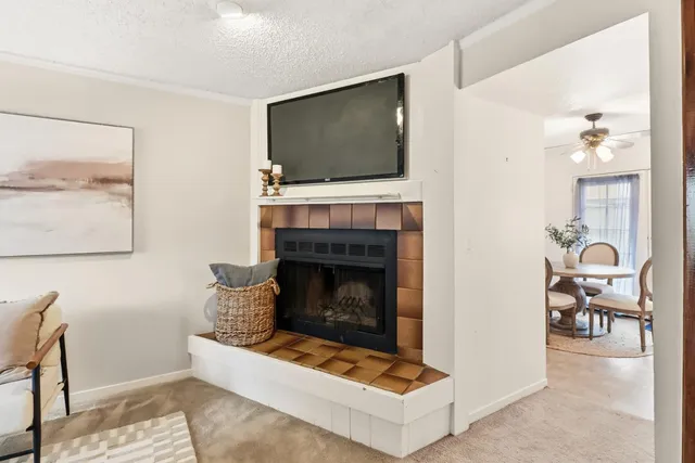 a living room with furniture a flat screen tv and a fireplace