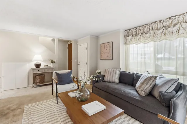 a living room with furniture a rug and a window