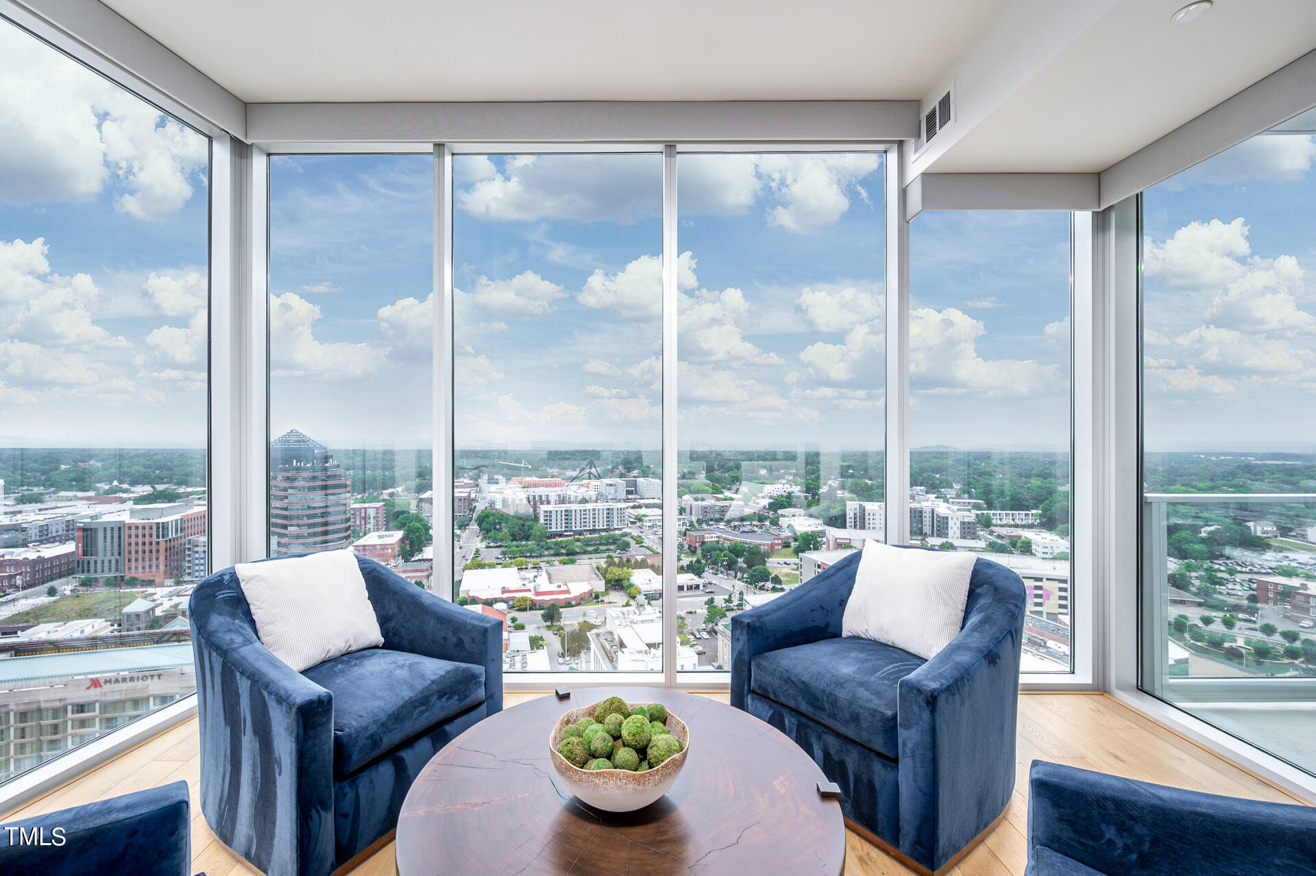 110 Corcoran Street, Unit 2301 Durham, NC 27701 - Photo 8 of 66 a living room with patio furniture and a potted plant