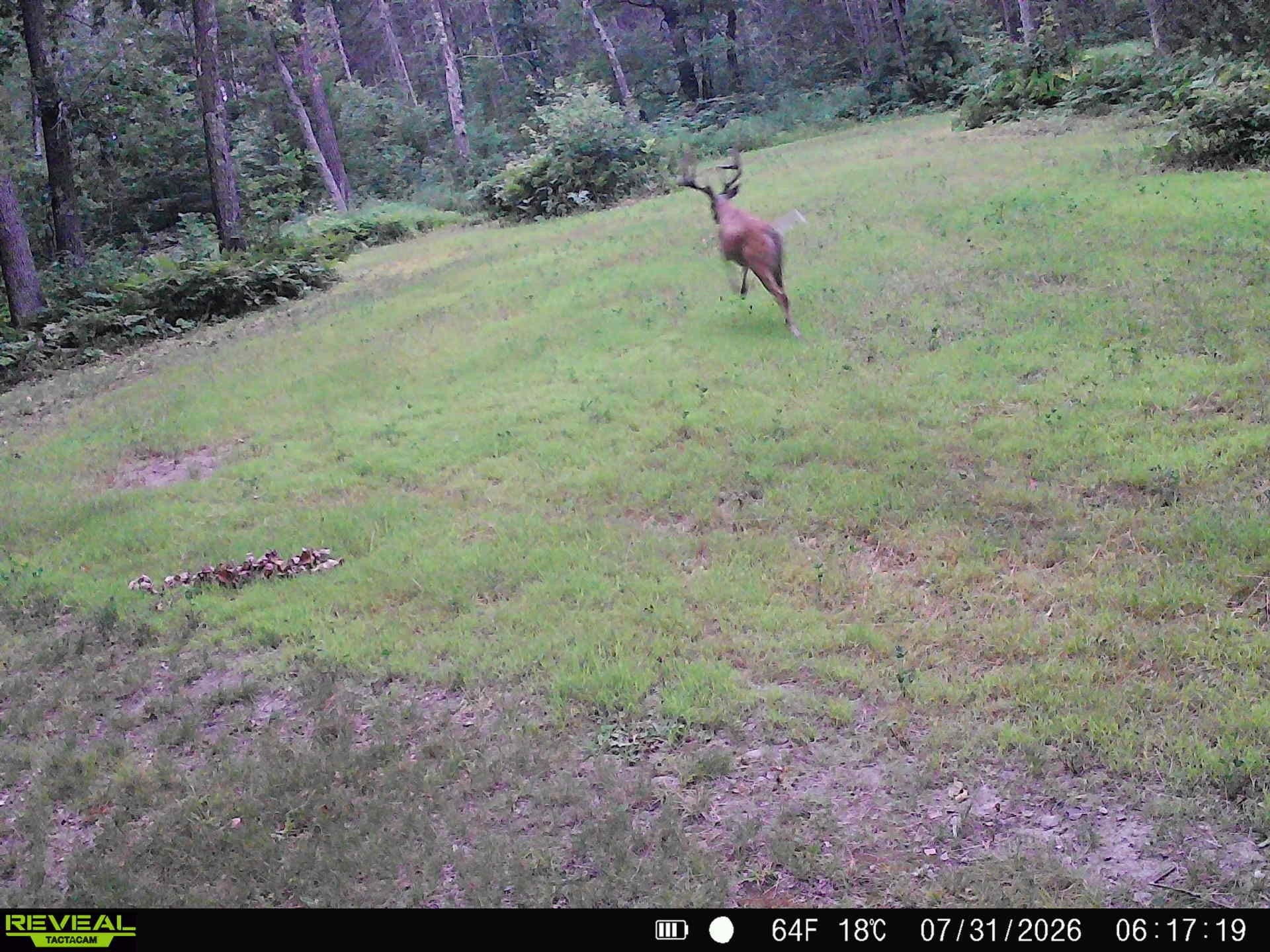 0 Sand Lake Road Stone Lake, WI 54876 - Photo 15 of 38 Gallery Image 15