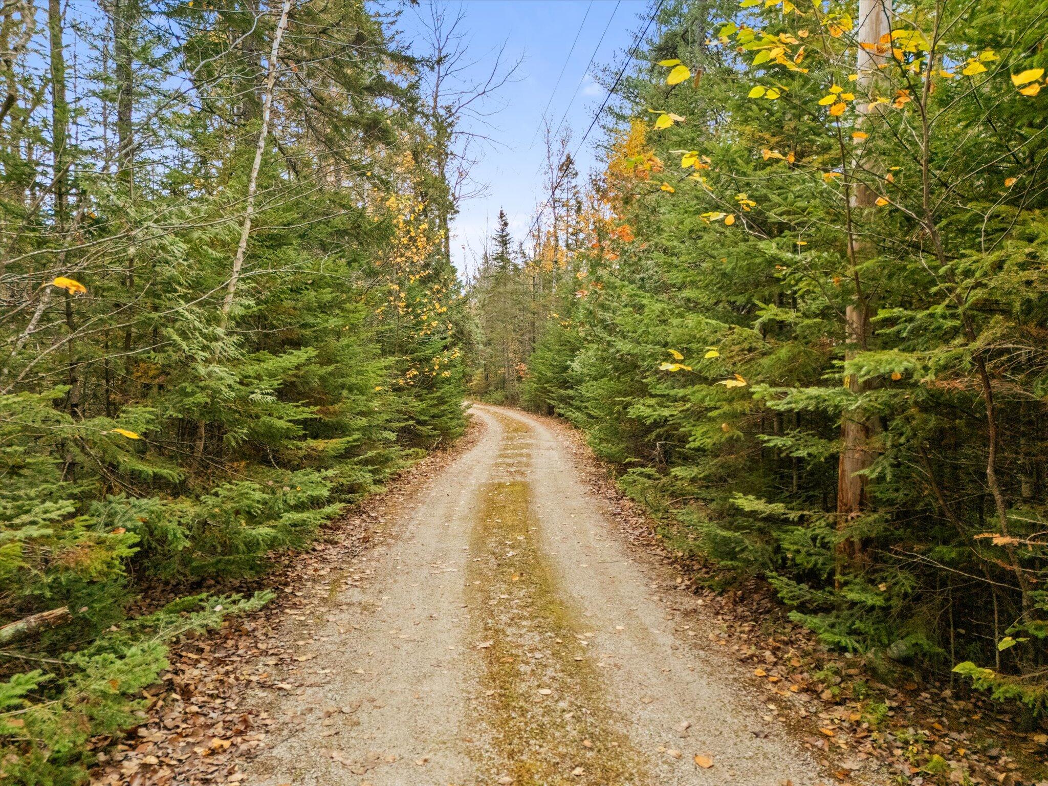 0 Beechland Road Ellsworth, ME 04605 - Photo 7 of 22 13-Beechland Rd Ellsworth Driveway