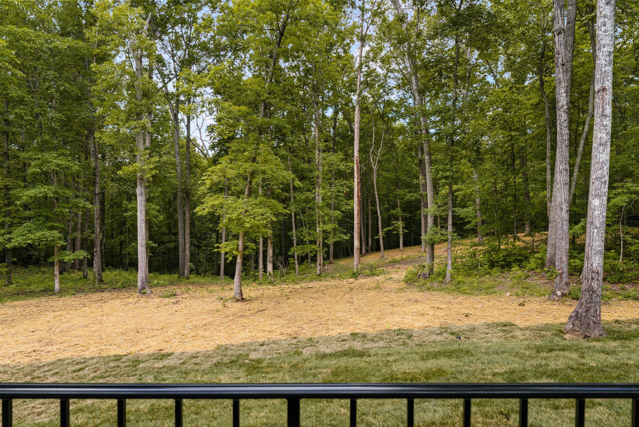 5662 Pinewood Road Franklin, TN 37064 - Photo 45 of 61