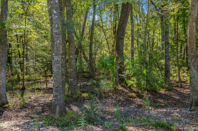 $699,000 | 293 River Plantation Road, Crawfordville, FL 32327