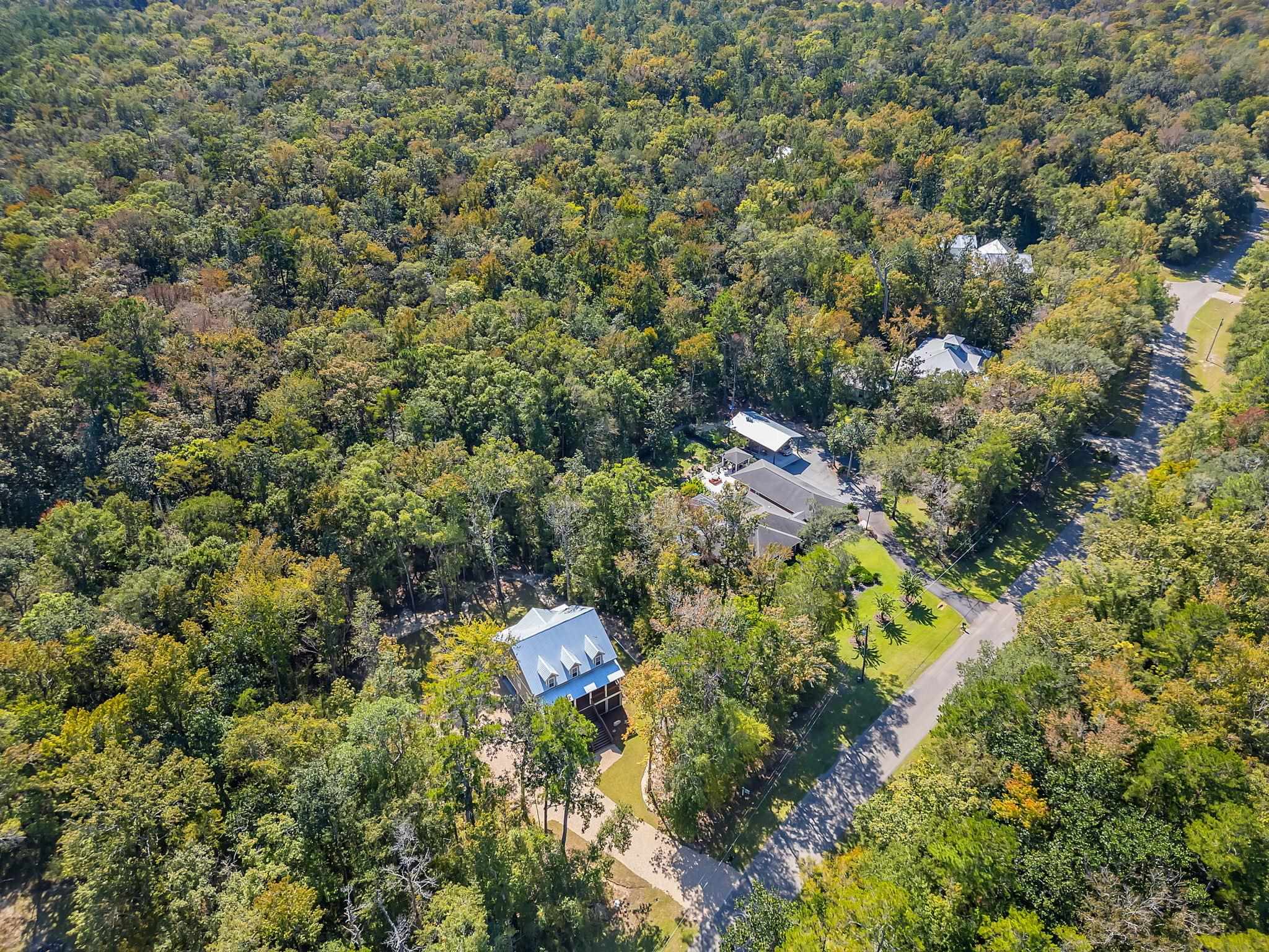 293 River Plantation Road Crawfordville, FL 32327 - Photo 32 of 59