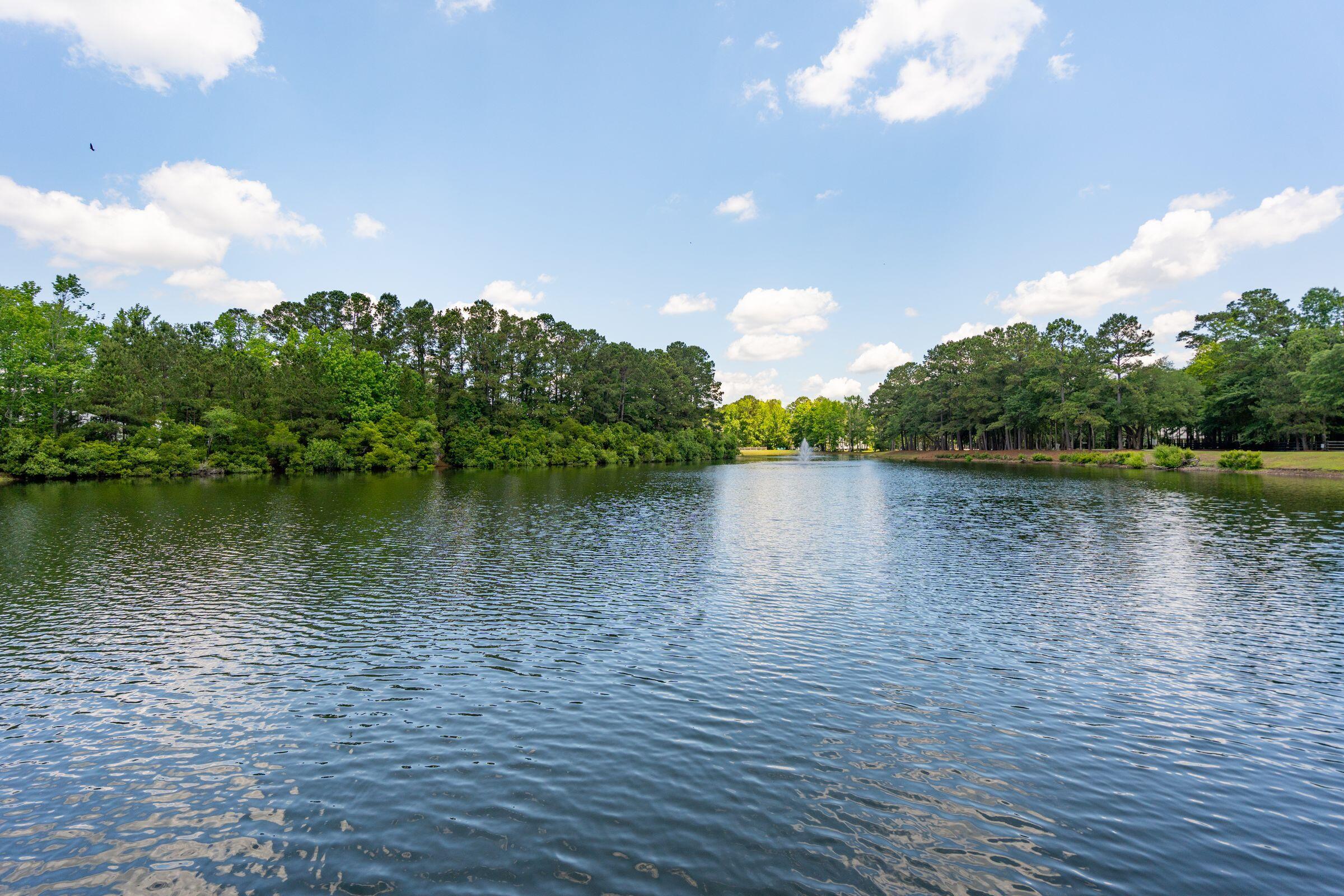 1510 Old Rosebud Trail Awendaw, SC 29429 - Photo 106 of 119 1510OldRosebudTr-KeenEyeMarketing-108