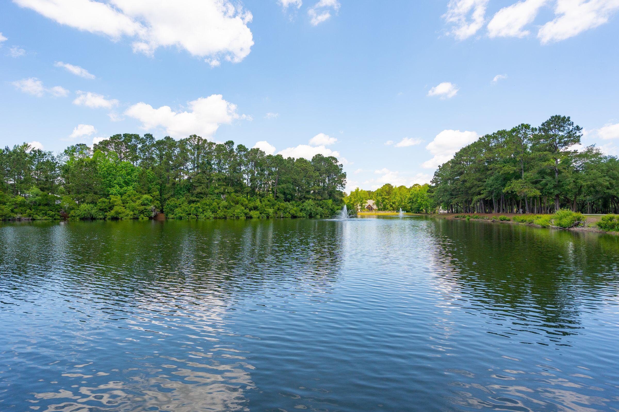 1510 Old Rosebud Trail Awendaw, SC 29429 - Photo 109 of 119 1510OldRosebudTr-KeenEyeMarketing-111