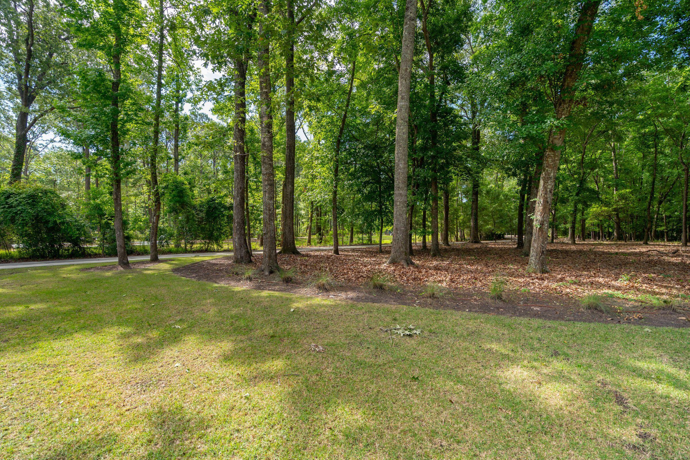 1510 Old Rosebud Trail Awendaw, SC 29429 - Photo 7 of 119 1510OldRosebudTr-KeenEyeMarketing-005