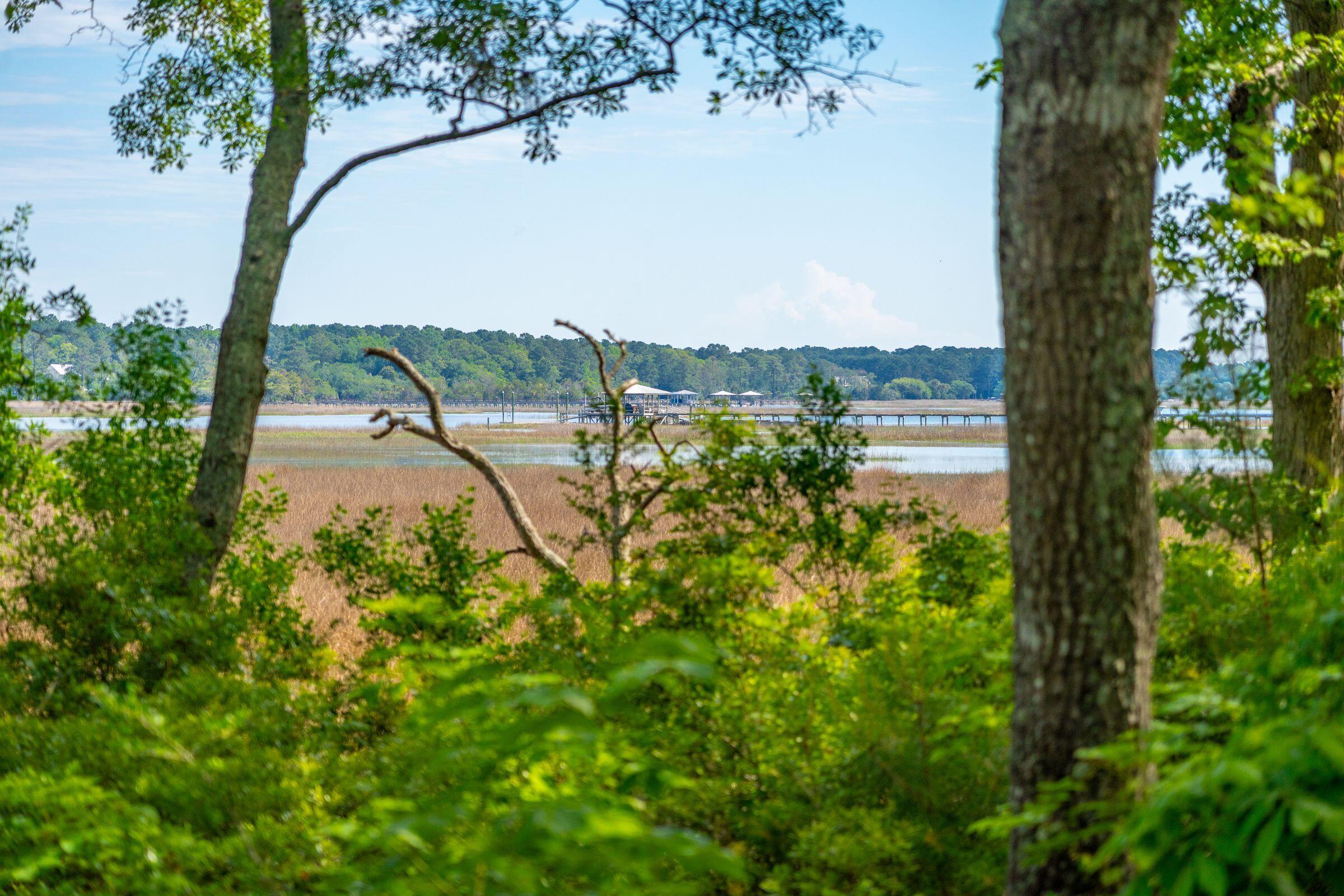 1510 Old Rosebud Trail Awendaw, SC 29429 - Photo 100 of 119 1510OldRosebudTr-KeenEyeMarketing-102