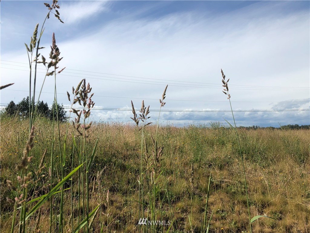1 River Road Lynden, WA 98264 - Photo 1 of 6