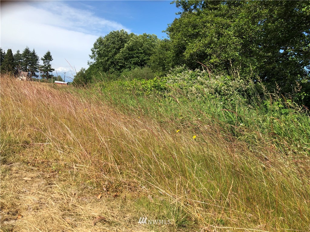 1 River Road Lynden, WA 98264 - Photo 6 of 6