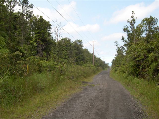 57 Kokokahi Road Mountain View, HI 96771 - Photo 2 of 8 Gallery Image 2