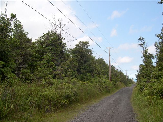 57 Kokokahi Road Mountain View, HI 96771 - Photo 7 of 8 Gallery Image 7