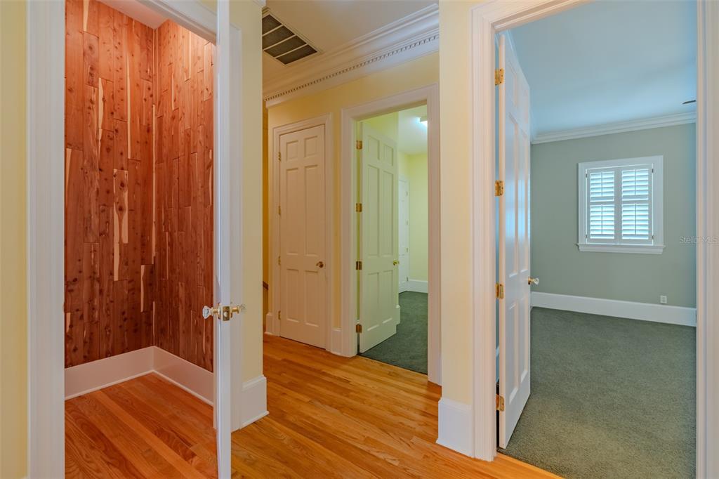 1816 South Dover Road Dover, FL 33527 - Photo 52 of 86
