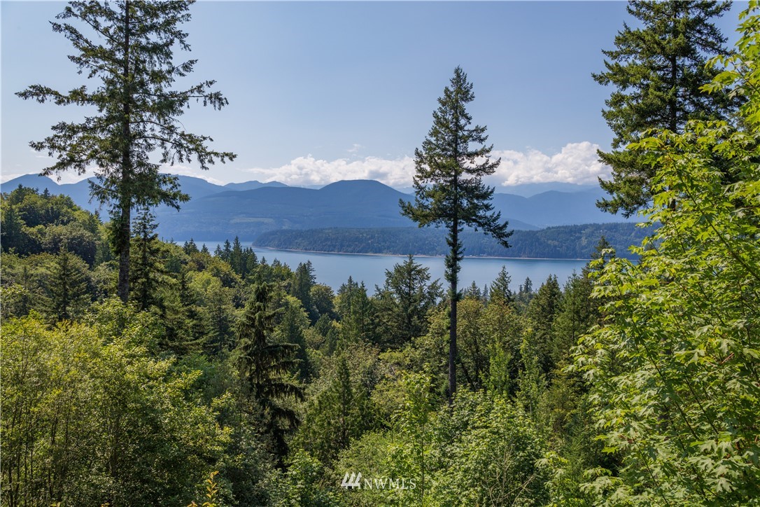 65 Dellwood Road Quilcene, WA 98376 - Photo 3 of 40 Gallery Image 3