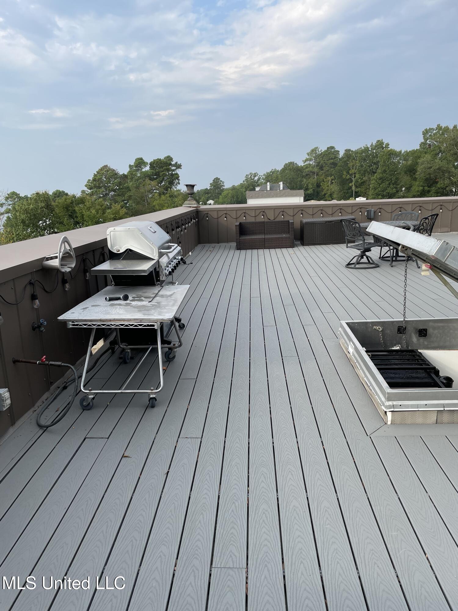 104 Galvez Street Madison, MS 39110 - Photo 89 of 91 rooftop