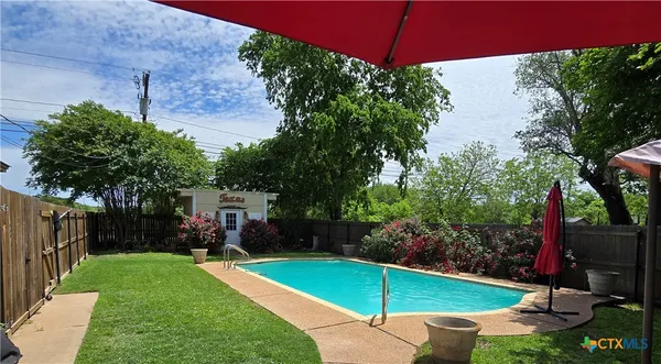 a view of a backyard with potted plants and a large tree