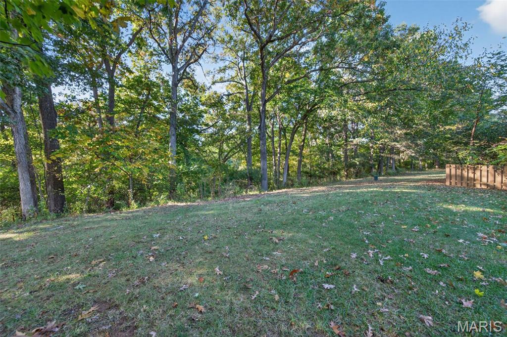 746 Windy Ridge Drive Ballwin, MO 63021 - Photo 51 of 55