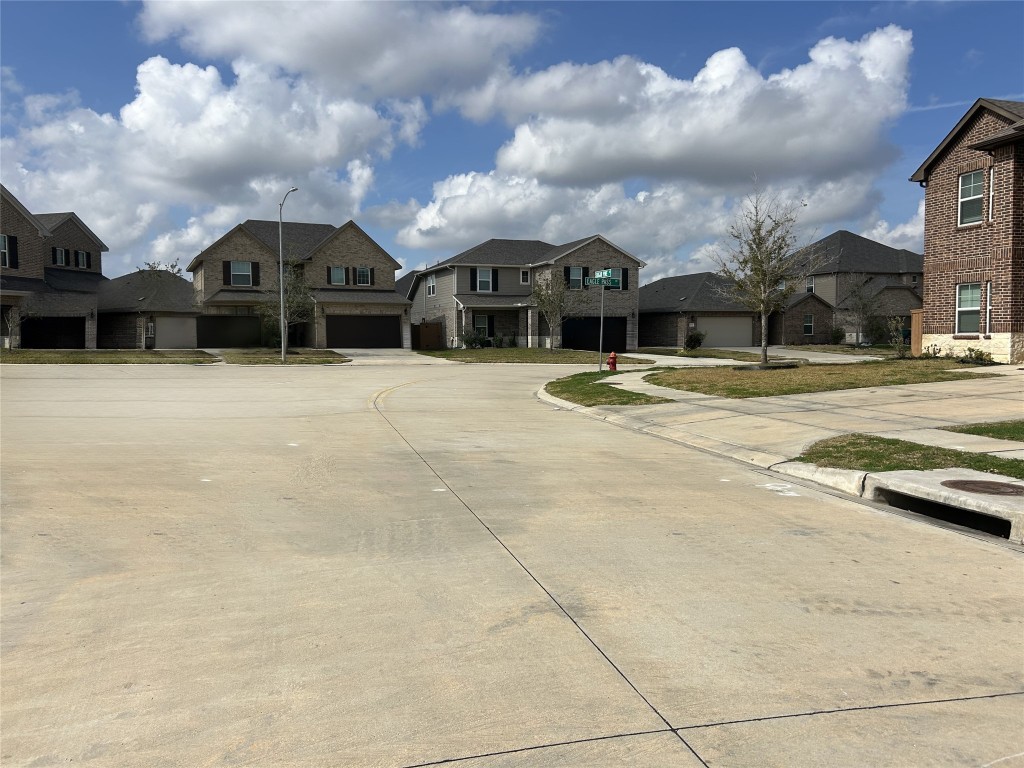 1314 Eagle Pass Drive Rosharon, TX 77583 - Photo 2 of 25 Street scene looking right