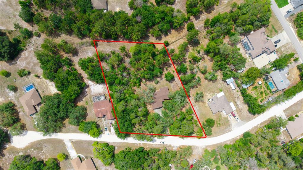 7121 Bastian Court Weeki Wachee, FL 34613 - Photo 35 of 45