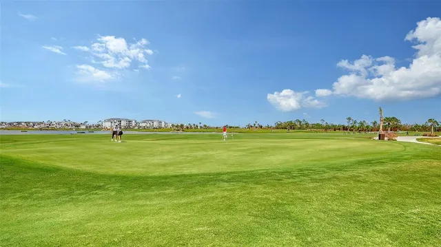a view of a park with palm trees