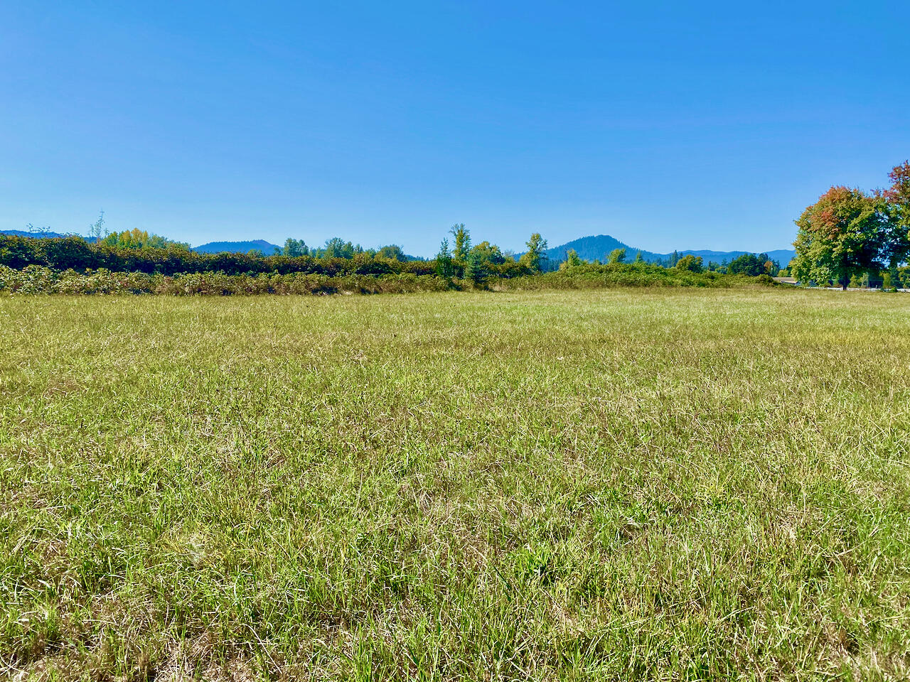 4043 Leonard Road Grants Pass, OR 97527 - Photo 48 of 53 4043 Leonard Rd