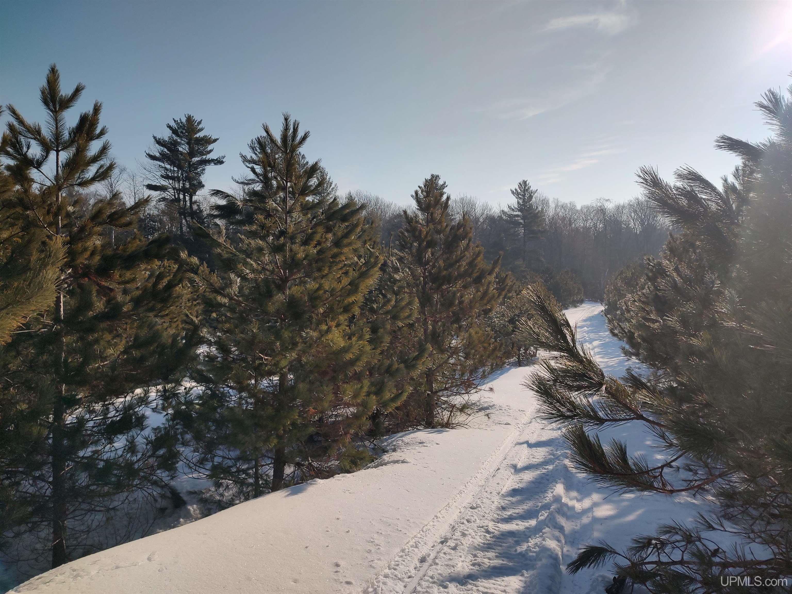 40-acres Gierke Road Manistique, MI 49854 - Photo 7 of 39