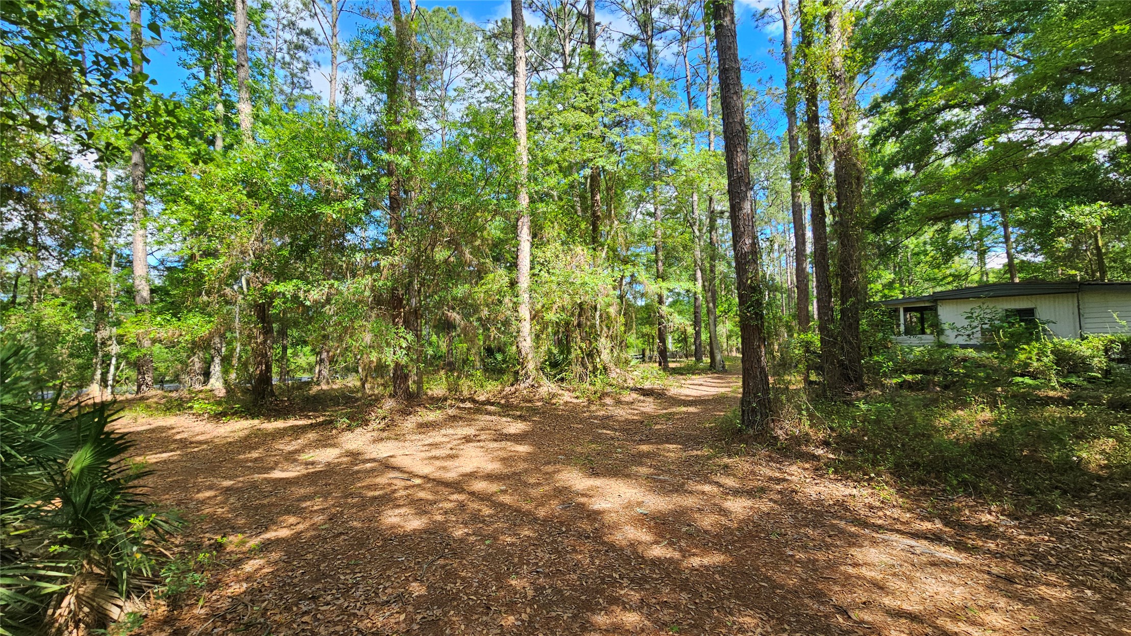 6324 Lannie Road Jacksonville, FL 32218 - Photo 16 of 60