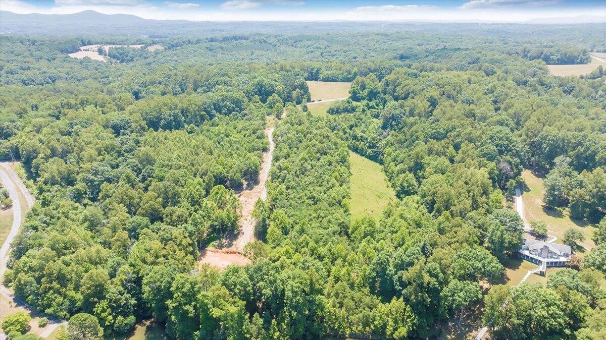 Lot 1 Piney Point Road Union Hall, VA 24176 - Photo 12 of 30 a view of a forest with a street